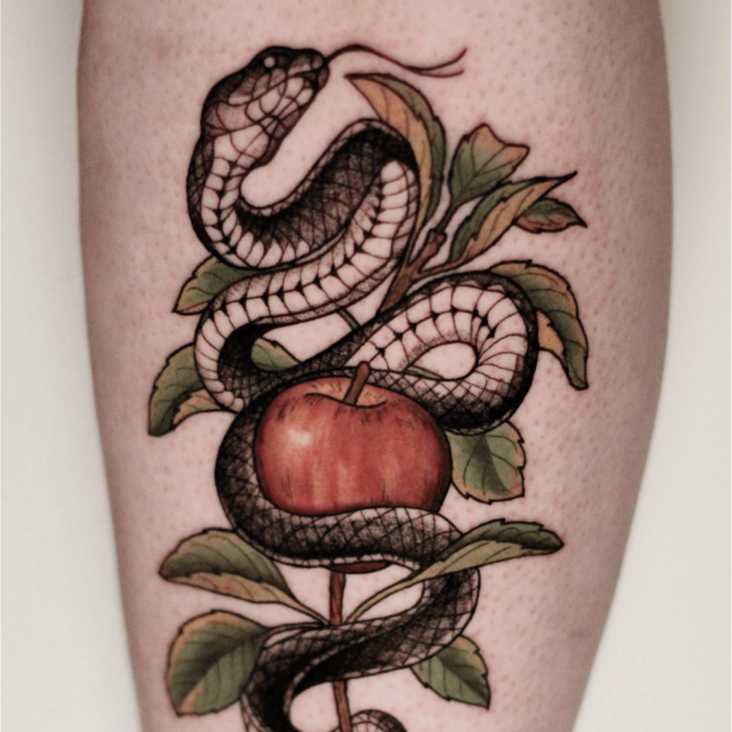 Schlange und Apfel, Botanical Illustration, Flora und Fauna, Blumen Tattoo, Rosen Tattoo, Natur, Botanik, Pflanzen Tattoo, Tattoo vegan