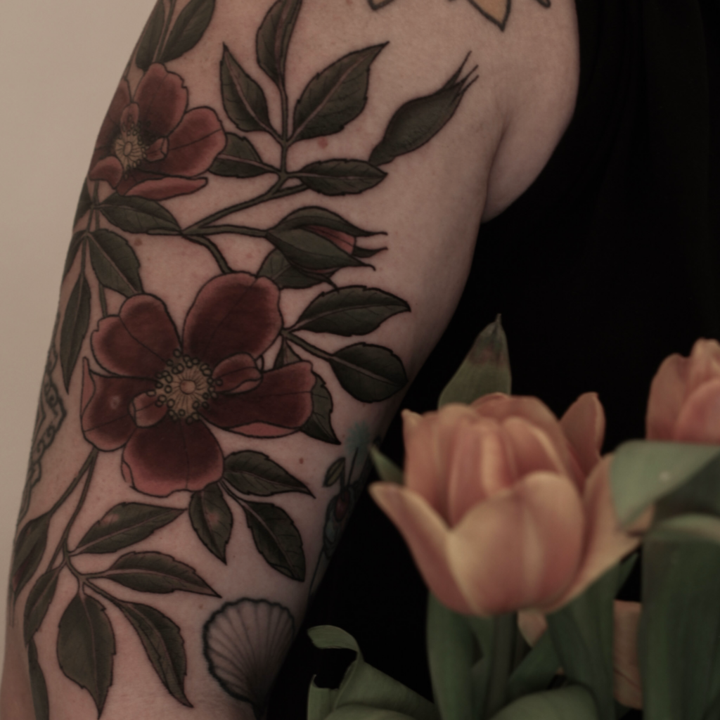 Wildrosen, Botanical Illustration, Flora und Fauna, Blumen Tattoo, Rosen Tattoo, Natur, Botanik, Pflanzen Tattoo, Tattoo vegan