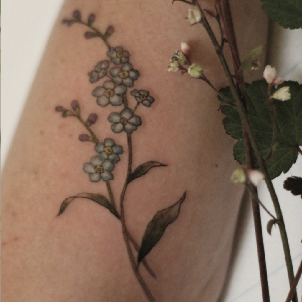 Vergissmeinnicht, Botanical Illustration, Flora und Fauna, Blumen Tattoo, Rosen Tattoo, Natur, Botanik, Pflanzen Tattoo, Tattoo vegan