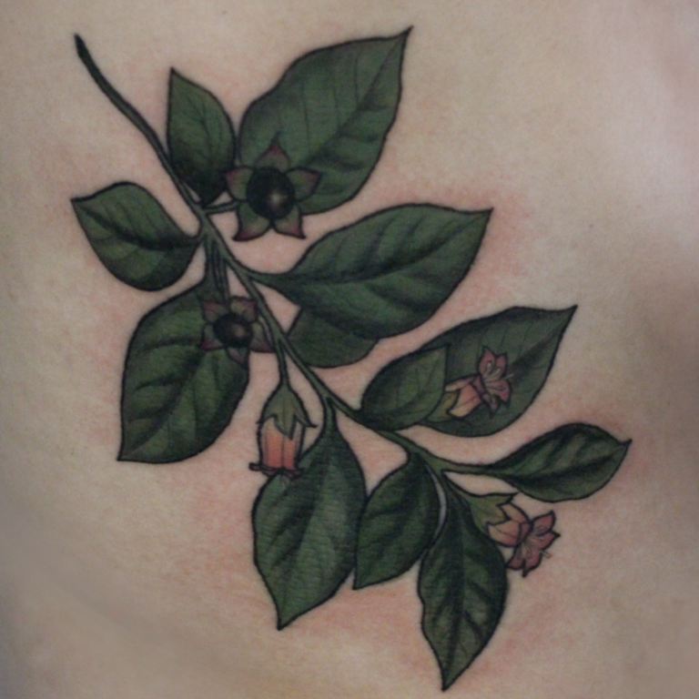 Tollkirsche, Botanical Illustration, Flora und Fauna, Blumen Tattoo, Rosen Tattoo, Natur, Botanik, Pflanzen Tattoo, Tattoo vegan